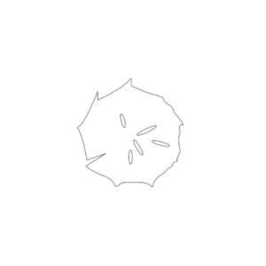 Tree Top View Silhouette