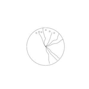 Tree Top View Silhouette