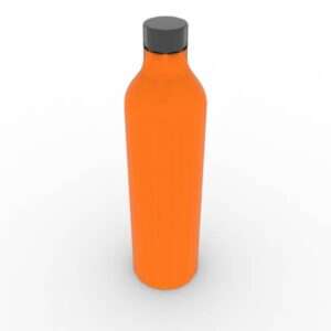 Stainless Steel Bottle