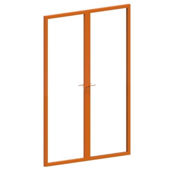 Curtain Wall Double Swing Door