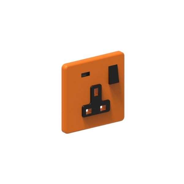 1 Gang Switched Socket + USB