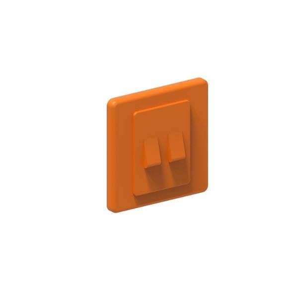 Plate Switch with 2-Switches