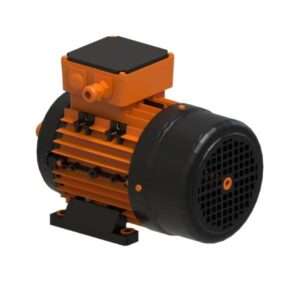 Three Phase Induction Motor