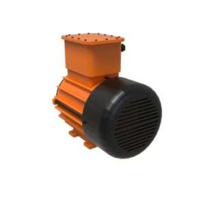 ATEX Motor