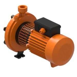 Close Coupled Centrifugal Pumps with Screwed Motor