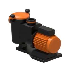 Swimming Pool Pump Motor