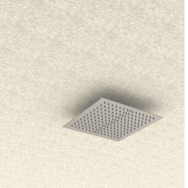 Ceiling Mount Shower