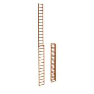 Telescopic Ladder